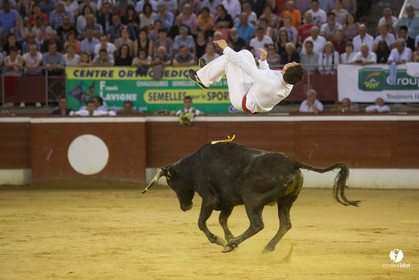 course landaise