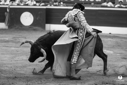 Mont-de-Marsan corrida de Jandilla pour Padilla - Talavante - Roca Rey