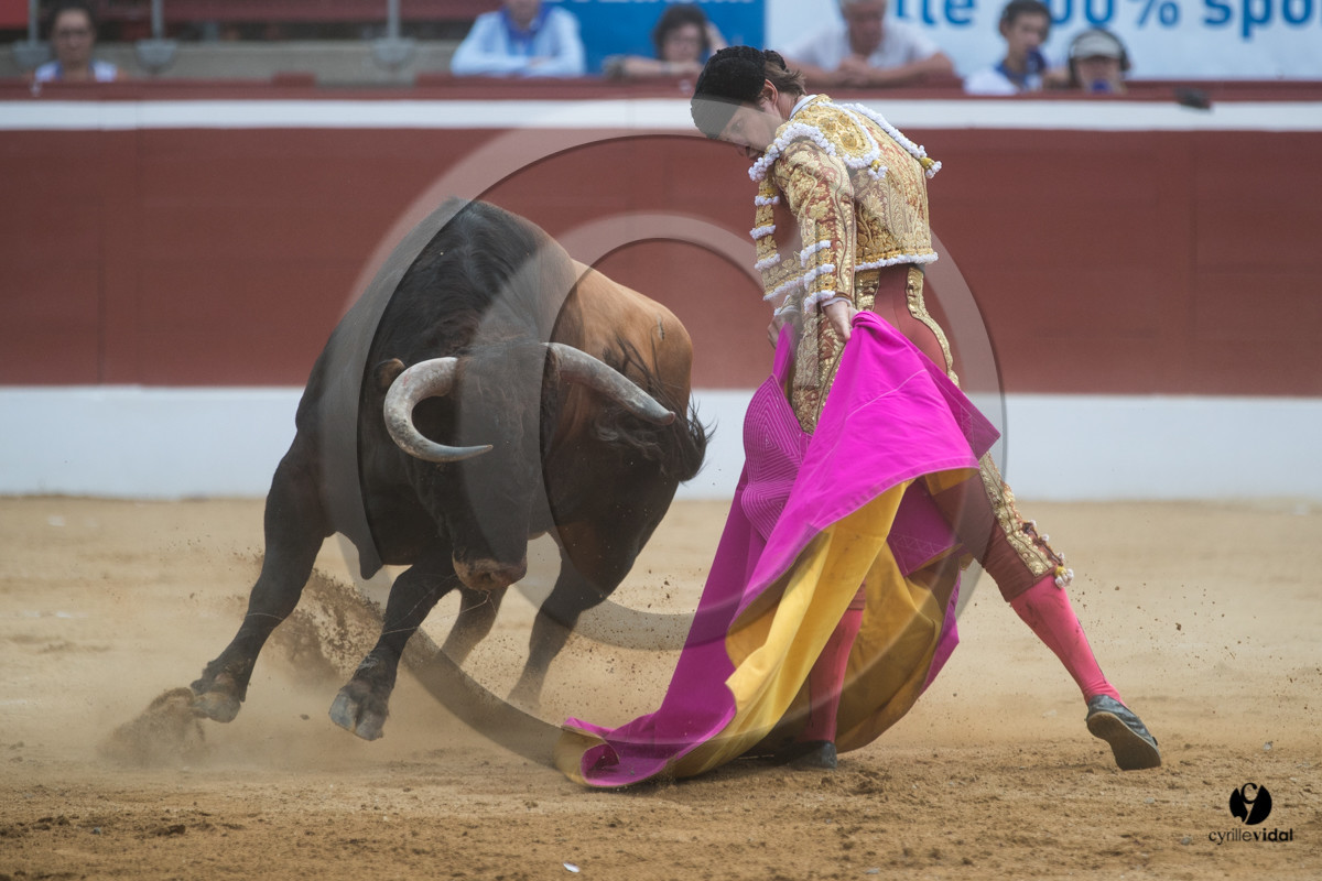 Mont-de-Marsan corrida de Garcigrande pour El Juli et Juan Bautista Mont-de-Marsan corrida de Garcigrande pour El Juli et Juan Bautista