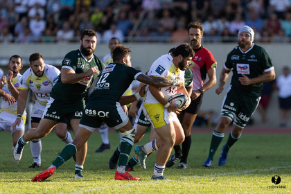 Stade Montois Rugby - Section Paloise