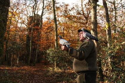 2007-11-22-9225.jpg