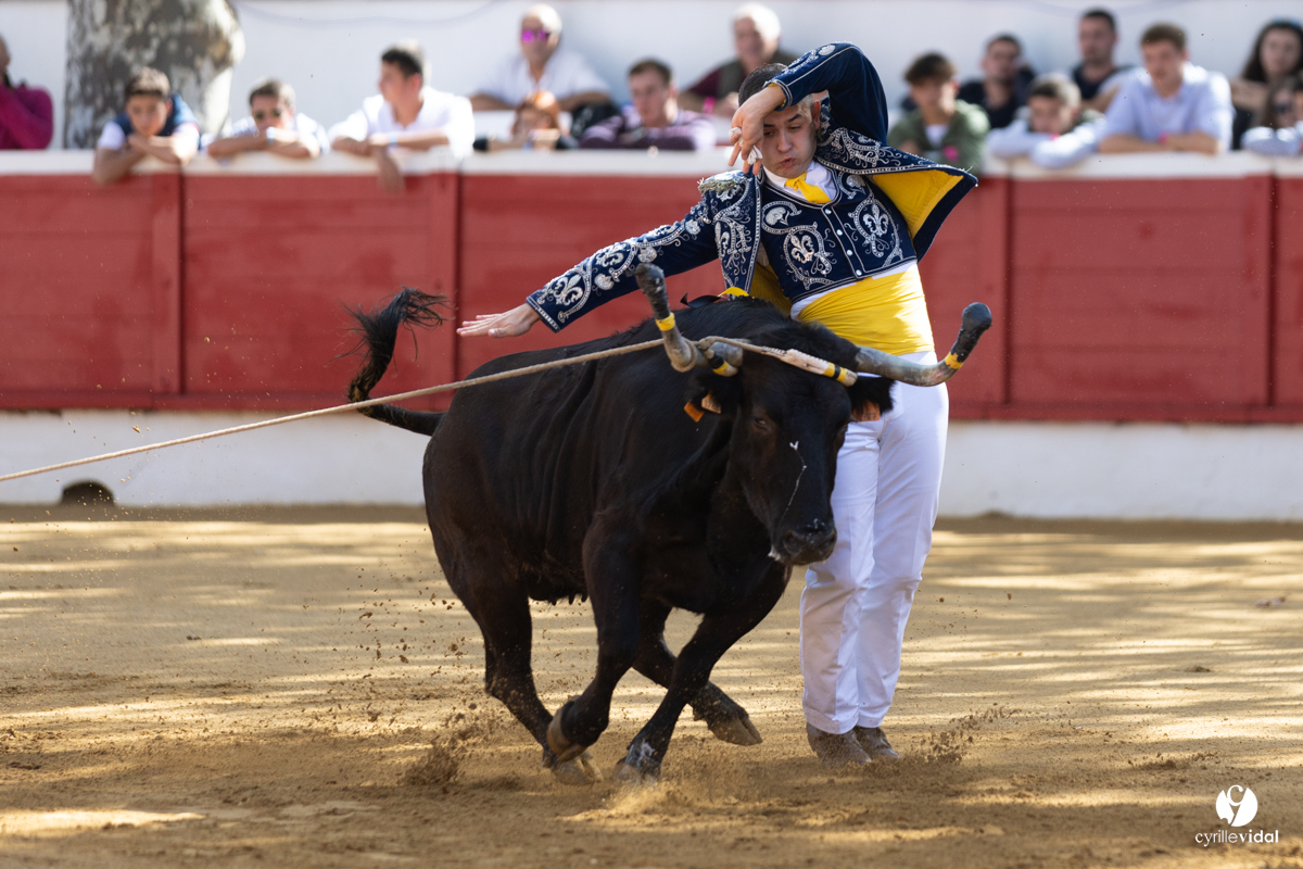 Nogaro Championnat de France de course landaise 2022