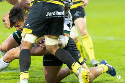 Stade Montois Rugby - Montauban