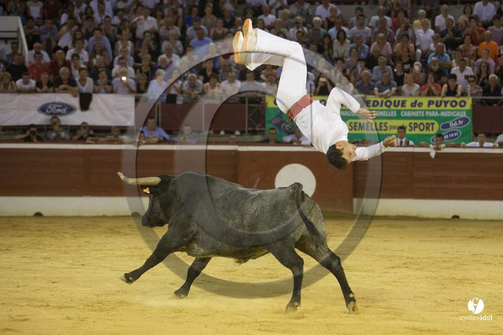 course landaise