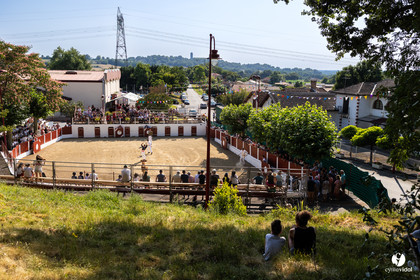 2025-07-05-1400.jpg