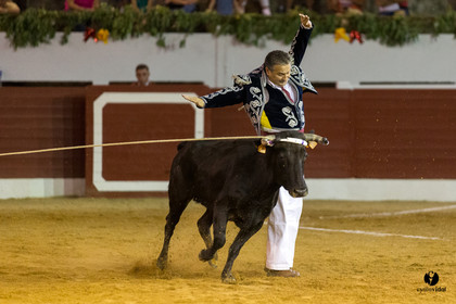 Aire sur l'Adour course landaise génération Aturine