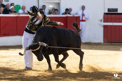 Nogaro Championnat de France de course landaise 2022