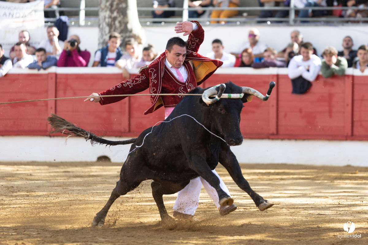 Nogaro Championnat de France de course landaise 2022