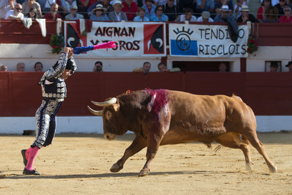 corrida, toro, vic fezensac, alcurrucen, michelito, morenito de aranda