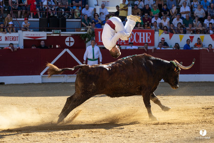 Aire-sur-l'Adour Championnat de France de course landaise 2023