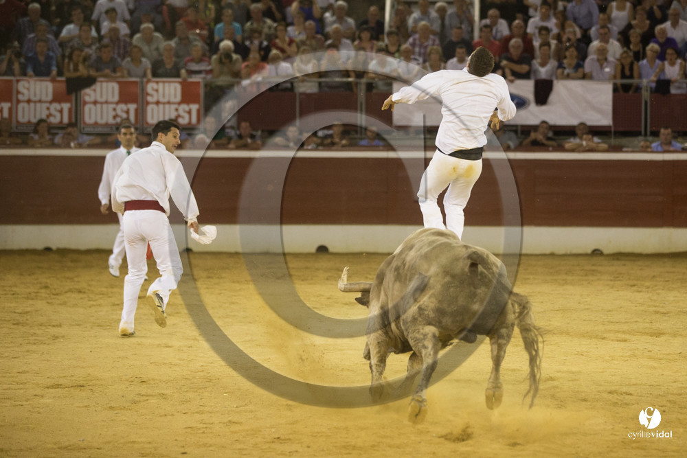 course landaise