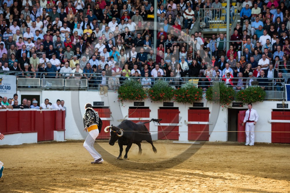 3349.jpg