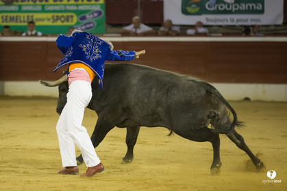 course landaise