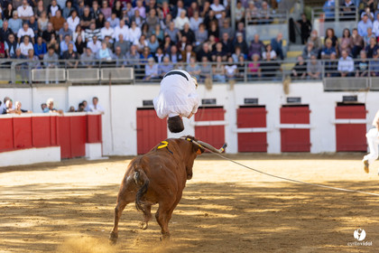 Nogaro Championnat de France de course landaise 2022