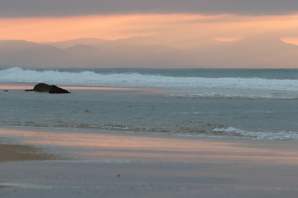 Paysages des Landes
