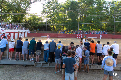 Course landaise à Panjas