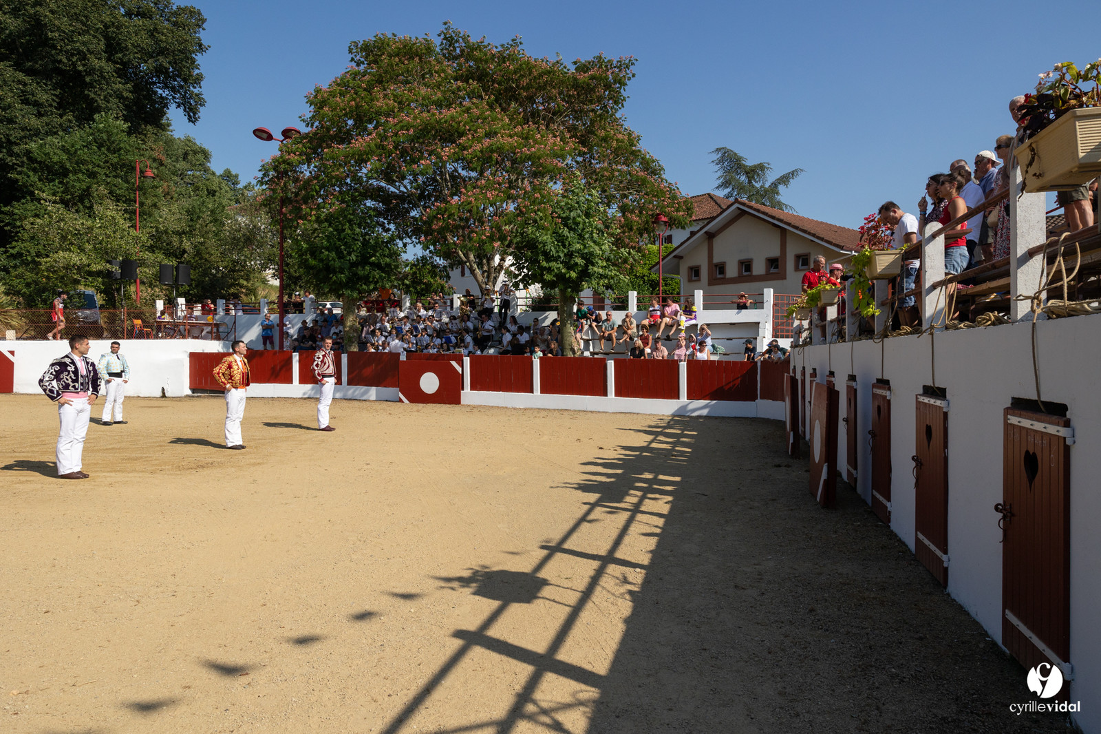 2025-07-05-1271.jpg