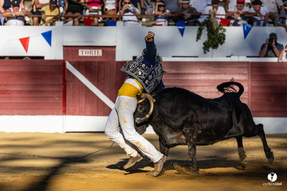 Aire-sur-l'Adour Championnat de France de course landaise 2023