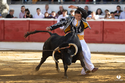 Nogaro Championnat de France de course landaise 2022
