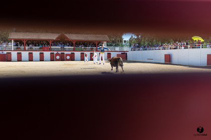 2022-07-10-3248.jpg