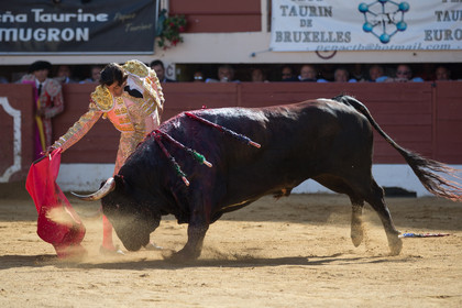 corrida, toro, vic fezensac, alcurrucen, michelito, morenito de aranda