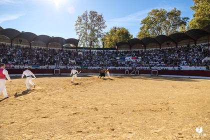 Aire-sur-l'Adour Championnat de France de course landaise 2023