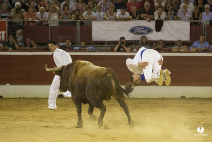 course landaise
