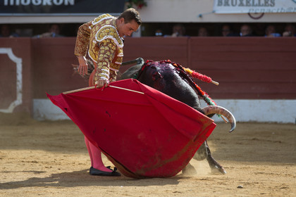 corrida, toro, vic fezensac, alcurrucen, michelito, morenito de aranda