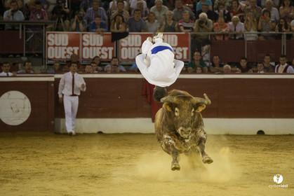 course landaise
