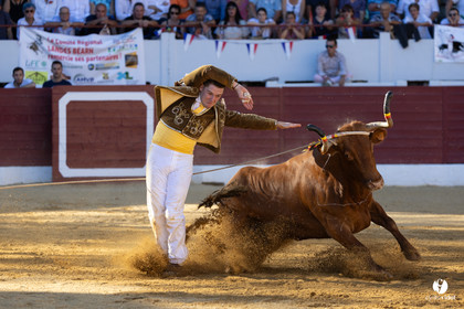 Aire-sur-l'Adour Championnat de France de course landaise 2023