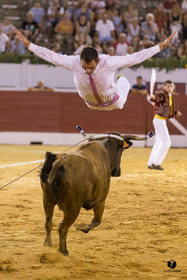 Aire sur l'Adour course landaise génération Aturine