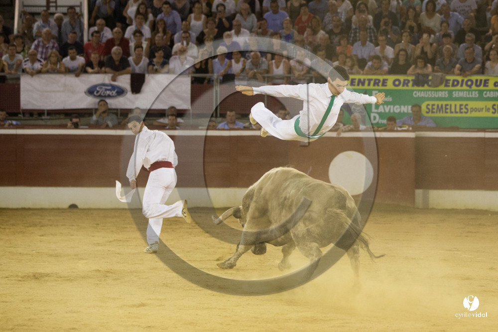 course landaise