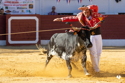 Aire-sur-l'Adour Championnat de France de course landaise 2023