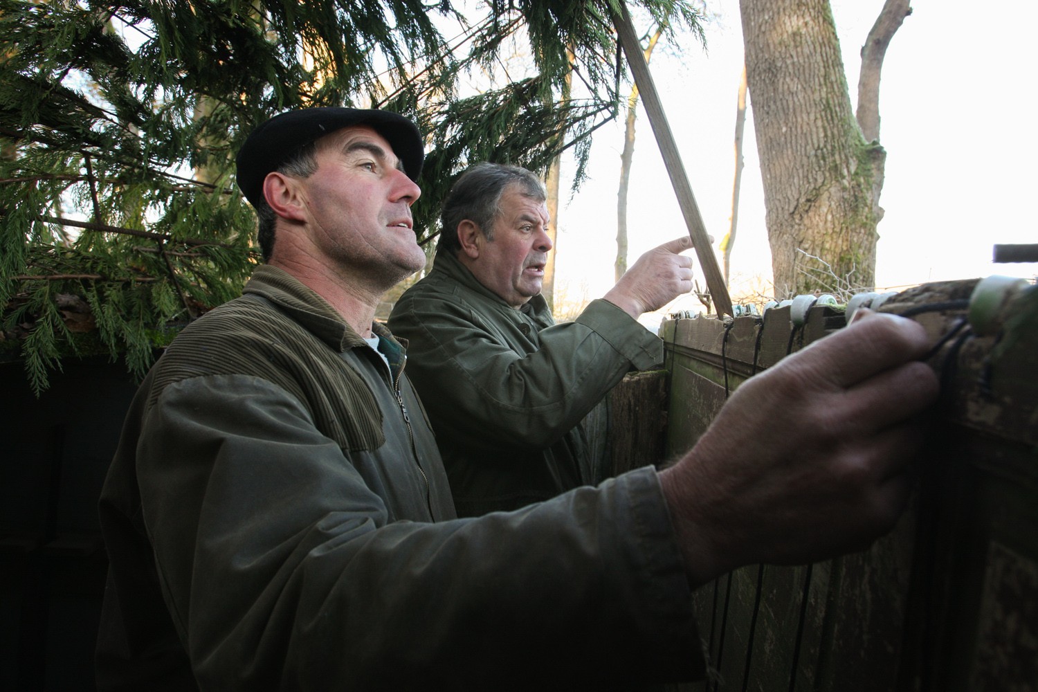 2008-11-28-9154.jpg
