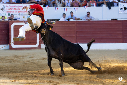 Aire-sur-l'Adour Championnat de France de course landaise 2023