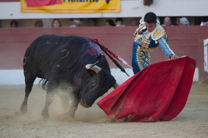 corrida, toro, vic fezensac, alcurrucen, michelito, morenito de aranda