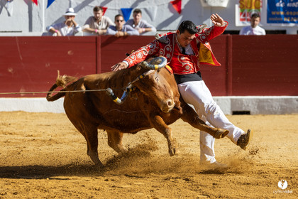 Aire-sur-l'Adour Championnat de France de course landaise 2023