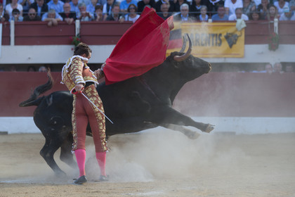 corrida, toro, vic fezensac, alcurrucen, michelito, morenito de aranda