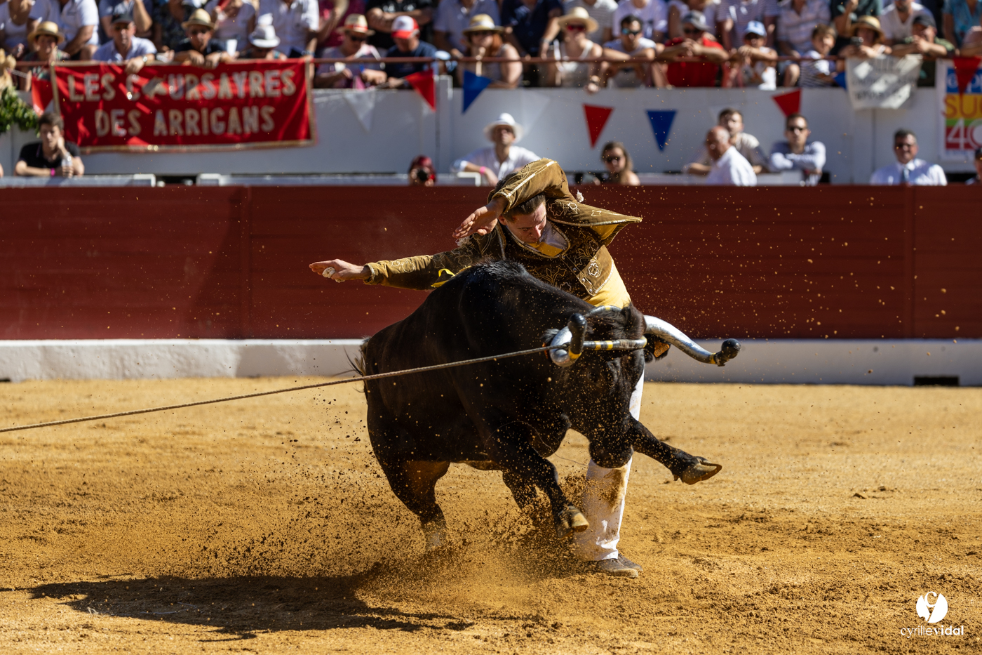 Aire-sur-l'Adour Championnat de France de course landaise 2023 Aire-sur-l'Adour Championnat de France de course landaise 2023