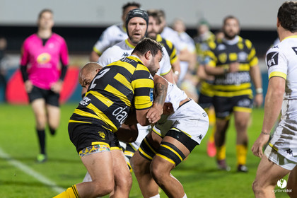 Stade Montois Rugby - Carcassonne