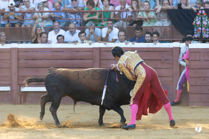 Corrida de Villeneuve-de-Marsan