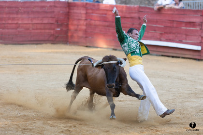 Course landaise à Panjas