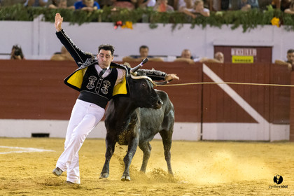 Aire sur l'Adour course landaise génération Aturine