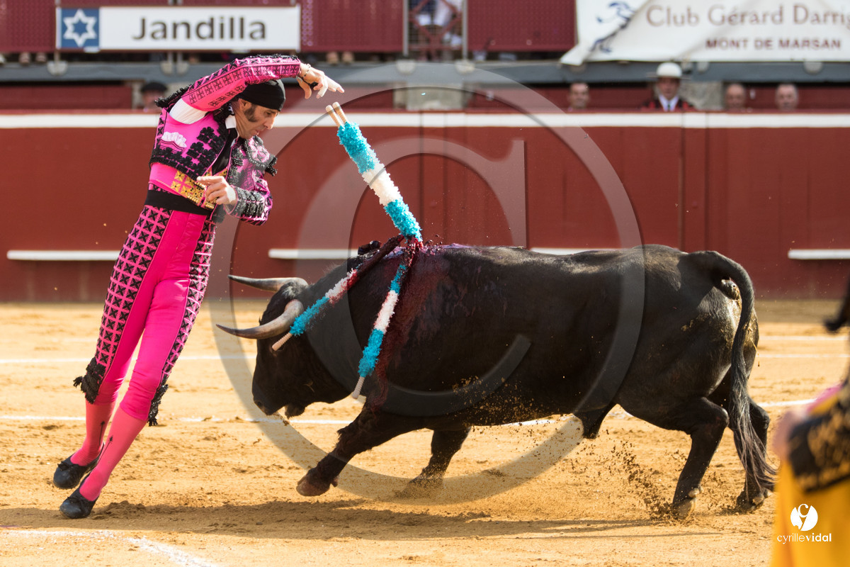 Mont-de-Marsan corrida de Jandilla pour Padilla - Talavante - Roca Rey
