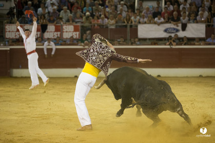 course landaise