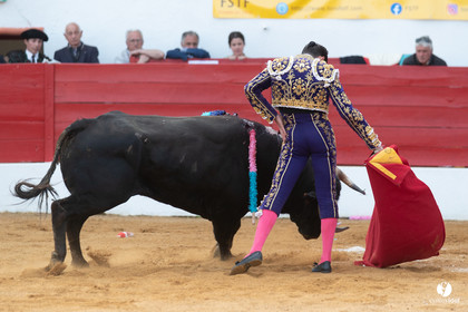 Corrida Aignan