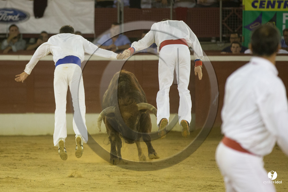 course landaise