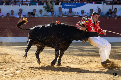 Aire-sur-l'Adour Championnat de France de course landaise 2023