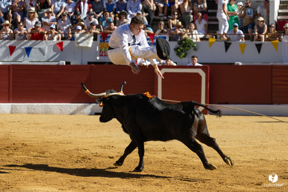 Aire-sur-l'Adour Championnat de France de course landaise 2023