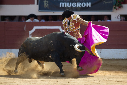 corrida, toro, vic fezensac, alcurrucen, michelito, morenito de aranda